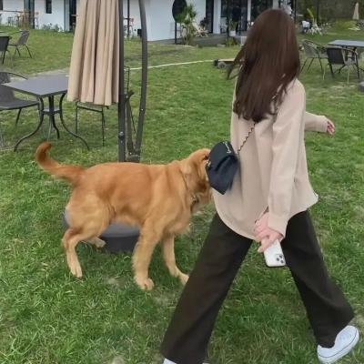 顶级阴谋